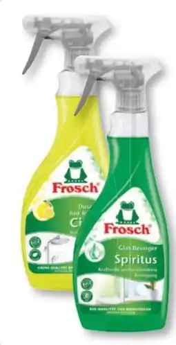 Budni Frosch Citrus Dusche & Bad-Reiniger Angebot