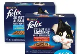 Budni Purina Felix Katzennahrung Angebot