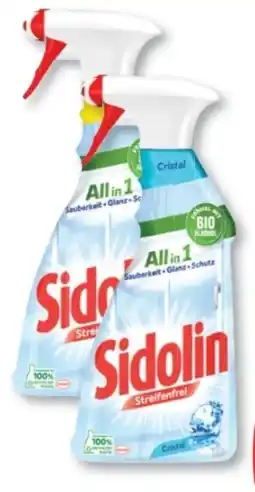 Budni Sidolin Glasreiniger Angebot
