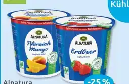 Budni Alnatura Bio Fruchtjoghurt Angebot