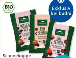 Budni Schneekoppe Schokolierte Früchte vegan Angebot