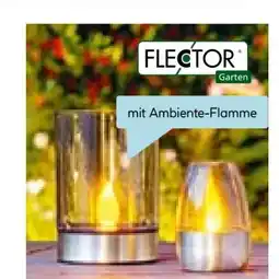 Hellweg Flector Garten LED-Solar-Windlicht Ambience Angebot