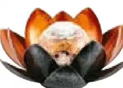 Hellweg Flector Garten LED-Solar-Dekoleuchte Lotus Angebot