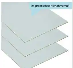 Hellweg Fixmaß Platten Angebot