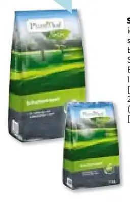 Hellweg Plantiflor Schattenrasen Angebot