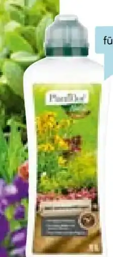 Hellweg Plantiflor Bio Universaldünger Angebot