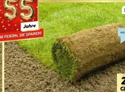 Hellweg Plantiflor Rollrasen Sport und Spiel Angebot