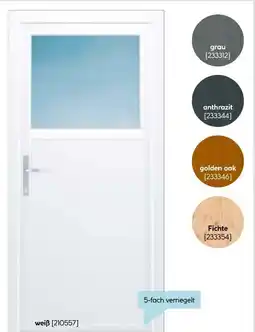 Hellweg Kunststoff-Nebeneingangstür F02 Easy Angebot