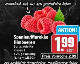 HIT Spanien/Marokko Himbeeren Angebot