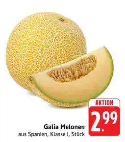 Edeka Galia Melonen Angebot