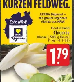 Edeka Chicorée Angebot