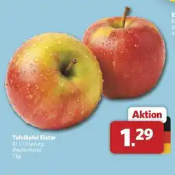 Combi Tafeläpfel 'Elstar' Angebot