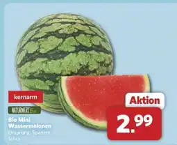 Combi Bio Mini Wassermelonen Angebot