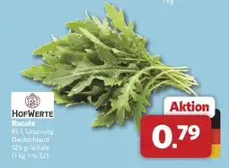 Combi Rucola Angebot