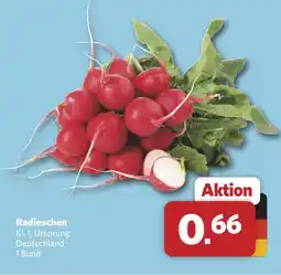 Combi Radieschen Angebot