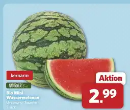 Combi Naturwert bio bio mini wassermelonen Angebot