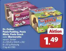 Combi Dr. oetker paula pudding Angebot