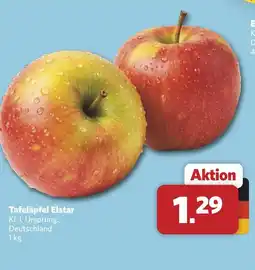 Combi Tafeläpfel elstar Angebot