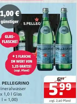 Getränke Quelle S. pellegrino mineralwasser Angebot