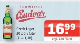 Getränke Oase Budweiser budvar czech lager Angebot
