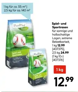 Hellweg Spiel- und sportrasen Angebot