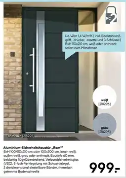 Hellweg Aluminium-sicherheitshaustür rom Angebot