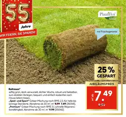 Hellweg Plantiflor natur spiel- und sport gräser-mischung Angebot