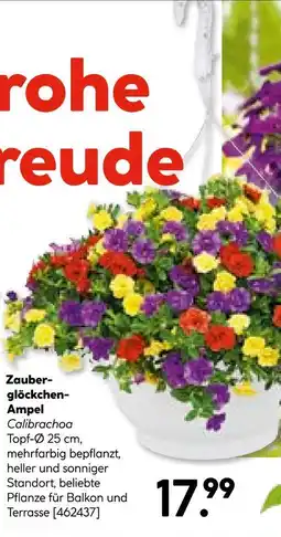 Hellweg Zauberglöckchen-ampel Angebot