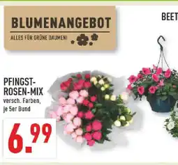 Marktkauf Pfingstrosen-mix Angebot