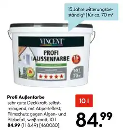 Hellweg Vincent profi außenfarbe Angebot