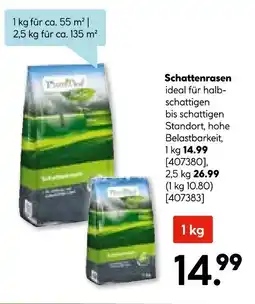 Hellweg Schattenrasen Angebot
