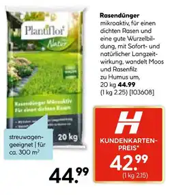 Hellweg Plantiflor rasendünger Angebot