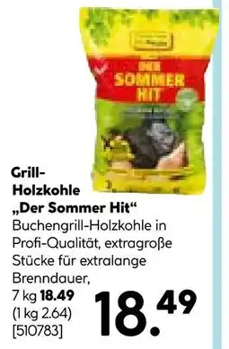Hellweg Grill-holzkohle 'der sommer hit' Angebot