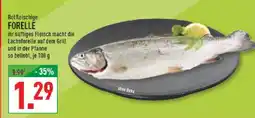 Marktkauf Forelle Angebot