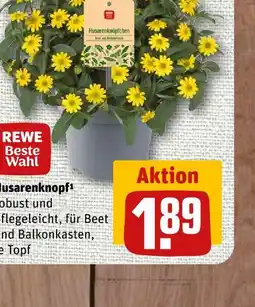nahkauf Rewe bio weißer bio spargel kl. ii Angebot