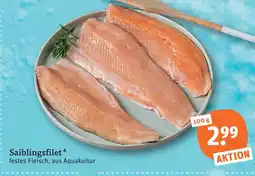 tegut Saiblingsfilet Angebot