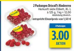 diska Driscoll's himbeeren Angebot