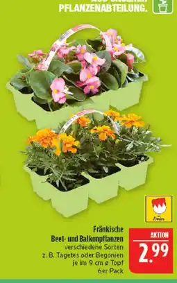 Marktkauf Fränkische beet- und balkonpflanzen Angebot