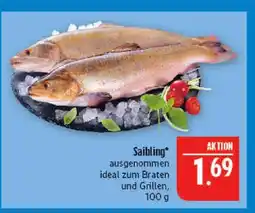 Marktkauf Saibling Angebot