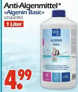Wreesmann Well san algenin basic Angebot