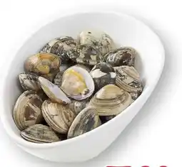 Scheck-in-Center Vongole Verace Angebot