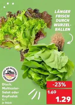 Kaufland Dtsch. Multicolor- Salat oder Kopfsalat Angebot