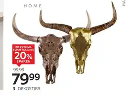 XXXLutz Ambia home dekostier Angebot