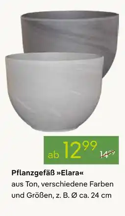 Pflanzen Kölle Pflanzgefäß elara Angebot