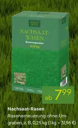 Pflanzen Kölle Nachsaat-rasen Angebot