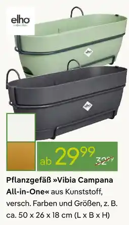 Pflanzen Kölle Elho pflanzgefäß vibia campana all-in-one Angebot