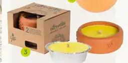Pflanzen Kölle Citronella – gartenkerze Angebot