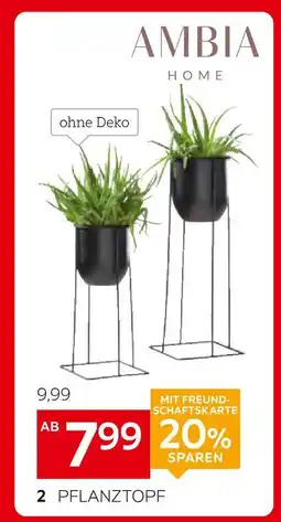 XXXLutz Ambia home pflanztopf höhe ca. 40 cm Angebot