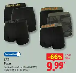 Lidl Caterpillar boxer Angebot