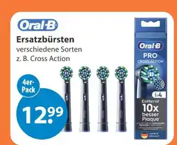 V Markt Oral-b ersatzbürsten cross action Angebot